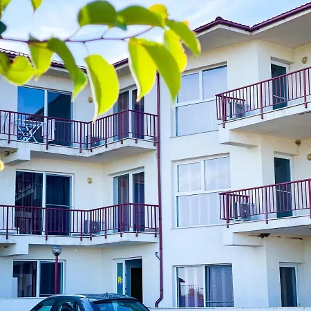 Daire Amphora Vibes *