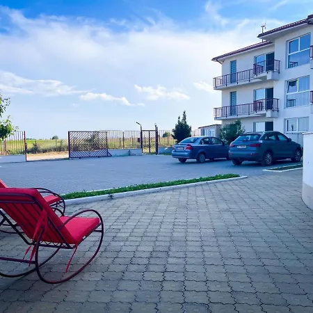 Amphora Vibes Daire *